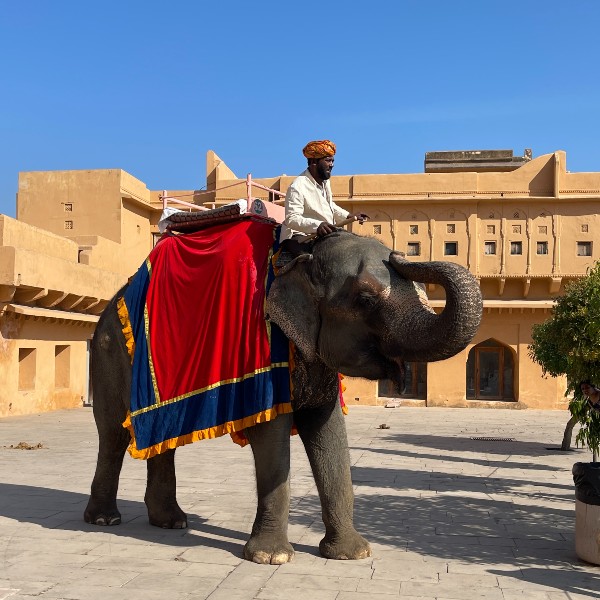 12 Days Rajasthan Round Family Trip from Udaipur